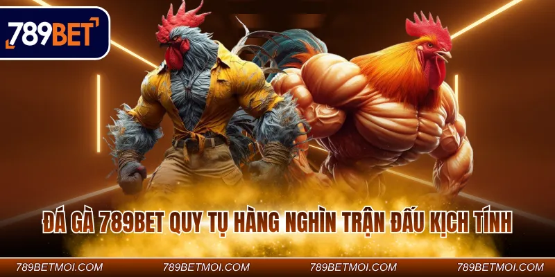 Đá gà 789BET quy tụ hàng nghìn trận đấu kịch tính