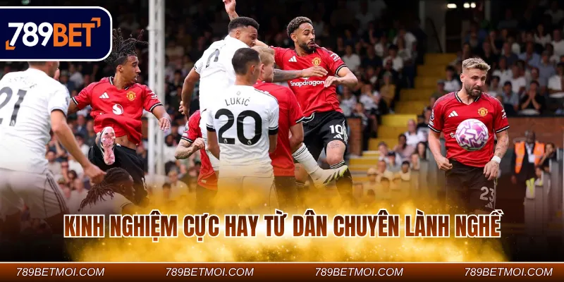 Kinh nghiệm cực hay từ dân chuyên lành nghề