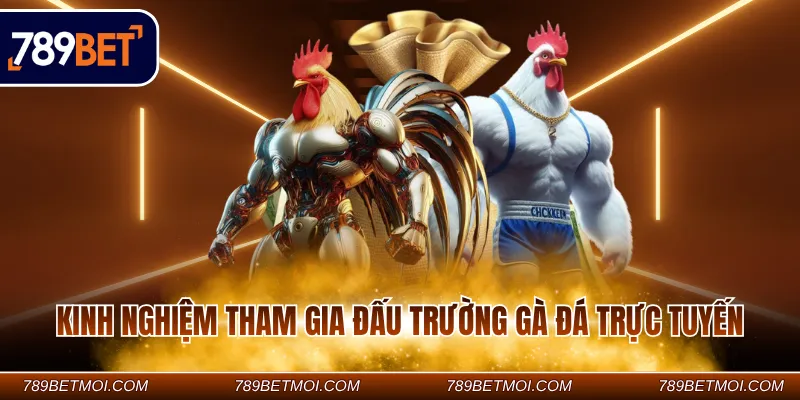 Kinh nghiệm tham gia đấu trường gà đá trực tuyến