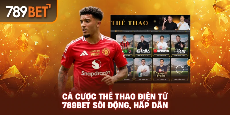 Cá cược thể thao điện tử 789Bet sôi động, hấp dẫn